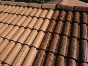 Roof clean Spotless Pressure Cleaning Brisbane